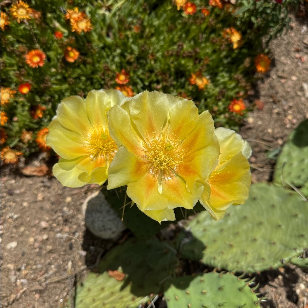 Meet your Posher, ME